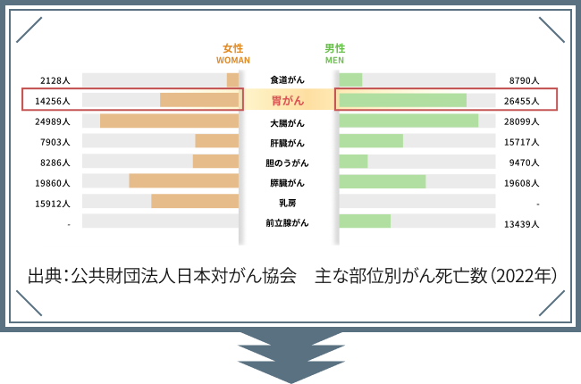 男女別のがんの死亡原因について図版