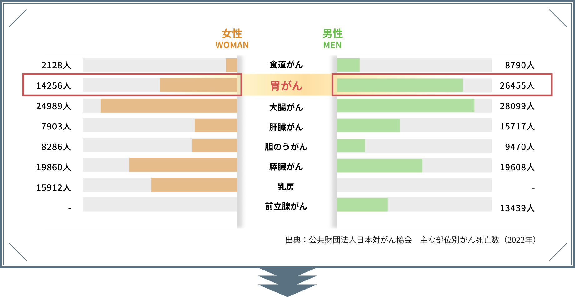 男女別のがんの死亡原因について図版